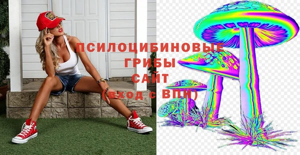 эйфоретик Алзамай